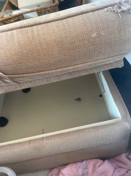 Photo of free Storage poof (Sy109la) #3