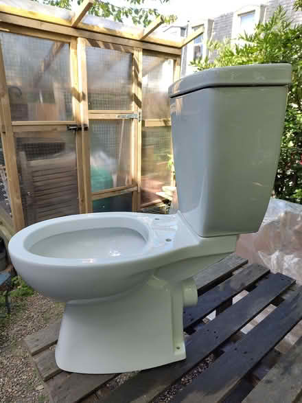 Photo of free Ceramic toilet (Lochend EH6) #1