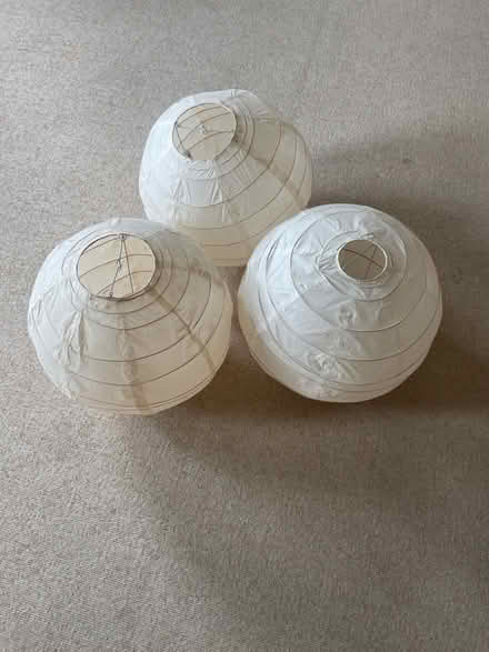 Photo of free 3 globe paper lampshades (Leckhampton GL53) #1