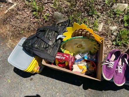 Photo of free stuff at end of driveway (Warren, NJ) #2