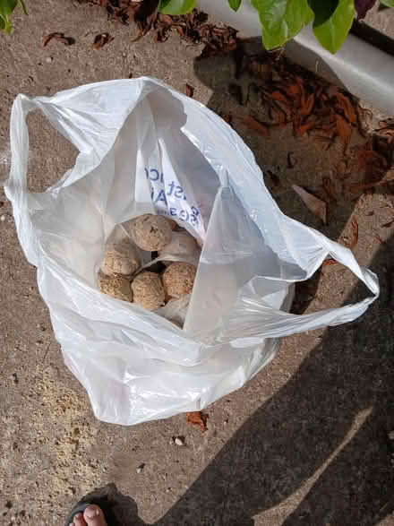 Photo of free Fat balls for birds (Nantwich) #1