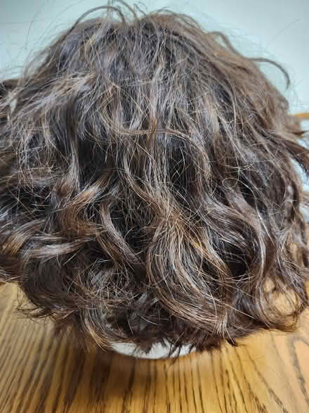 Photo of free 100% human hair wig (size Med) (Passaic) #2