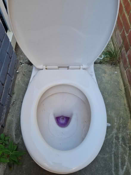 Photo of free Close coupled toilet (CT12) #2