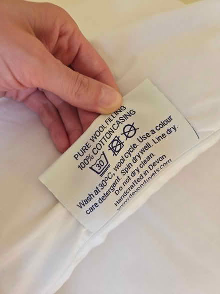 Photo of free Old pillows (SG8 (Melbourn)) #4