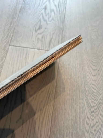 Photo of free Engineered wood flooring x 2 packs (Windsor SL4) #3
