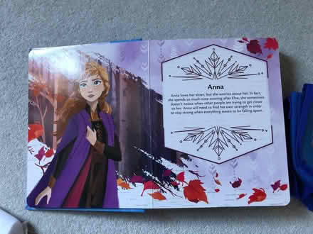 Photo of free Kids Frozen book and bag (Crooks Barn TS20) #2
