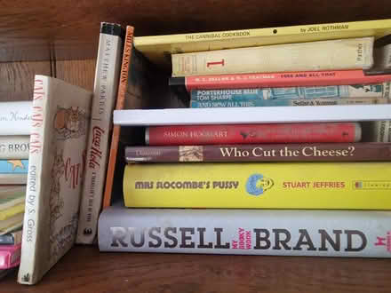 Photo of free Humour books (Loud Bridge PR3) #4