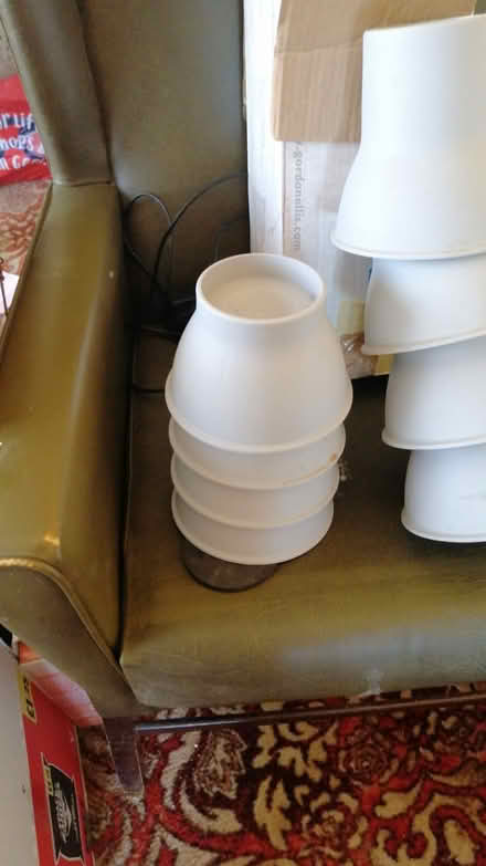 Photo of free Elephant feet (Whittlesey) #4