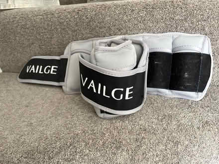 Photo of free Ankle weights (Cambusbarron FK7) #1