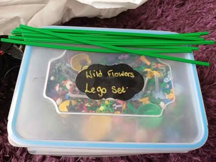 Photo of free Lego wild flowers set (Gl4 6GE) #1