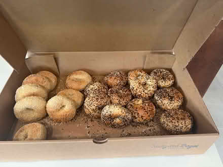 Photo of free Bagels (North east seattle) #1
