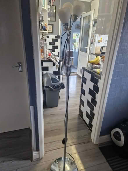 Photo of free Floor lamp (BS39) #3