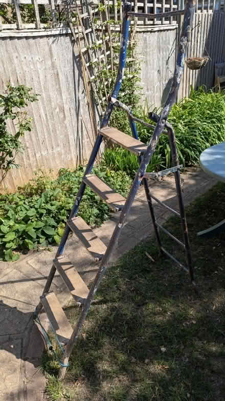 Photo of free Ladder (KT13) #1