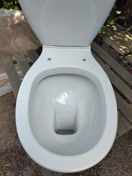 Photo of free Ceramic toilet (Lochend EH6) #2