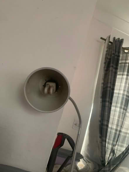 Photo of free Bendy floor lamp (SK3 Edgeley) #1