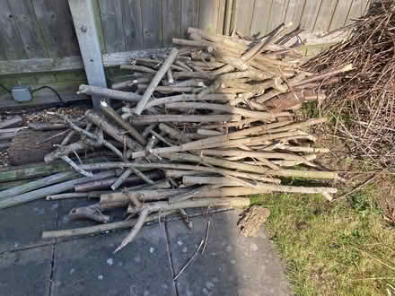 Photo of free Wood/tree cuttings for fire etc (Coventry CV4) #4