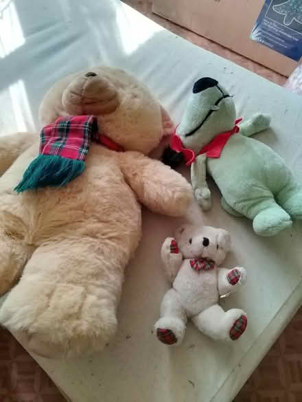 Photo of free Assorted soft toys (Yalding ME18) #1