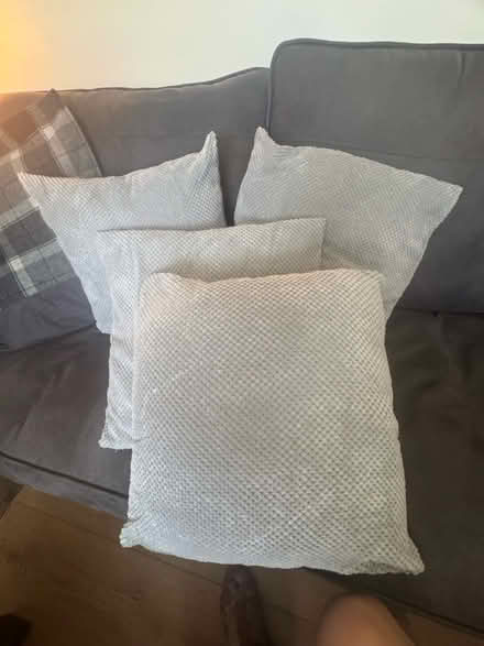 Photo of free Sofa pillows x 4 grey HX3 (Halifax) #1