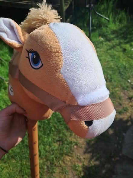 Photo of free Hobby horse (OX25, Weston on the green) #2