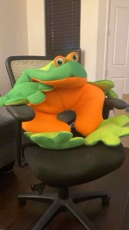 Photo of free Big Joe Frog Pool Float (Eastlake) #4