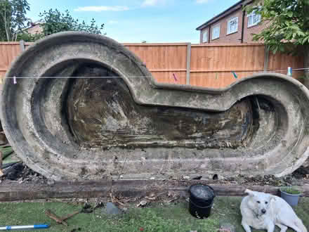Photo of free Pond (Theale RG7) #1