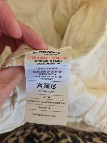 Photo of free Toddler bedding (SG8 (Melbourn)) #4