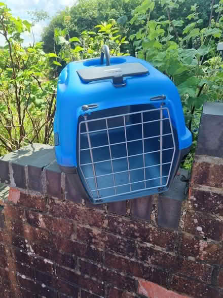 Photo of free Cat basket (RG4) #1