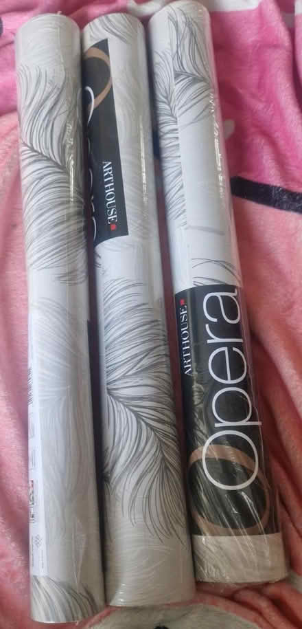 Photo of free 3 rolls feather wallpaper (Shrewsbury) #1