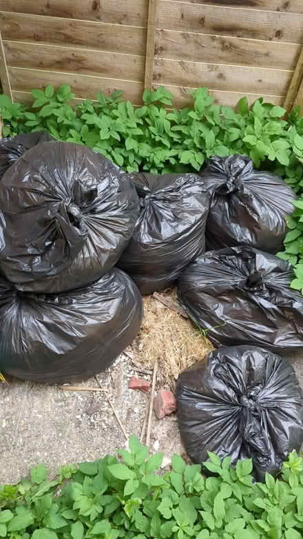 Photo of free 6 sacks of manure (HP11) #1