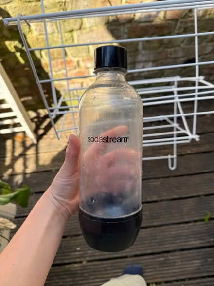 Photo of free Soda steam genesis bottle (N5 2XD) #1