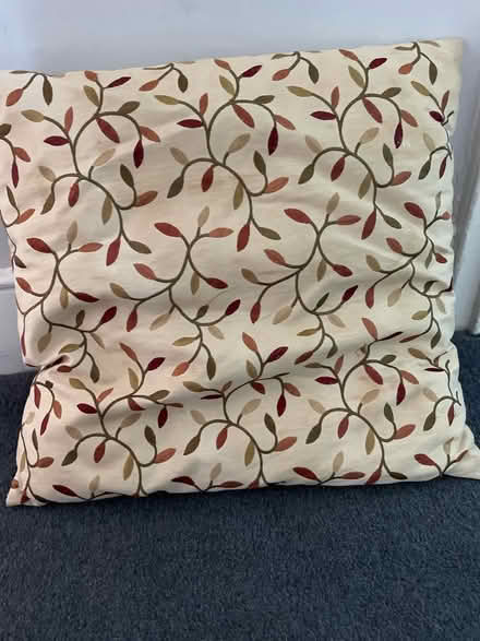 Photo of free Small patterned cushion (Woodford green) #1