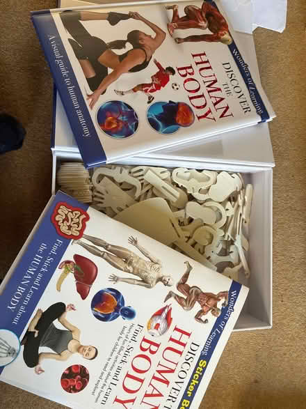 Photo of free Discovery the human body box set (Highlands Village, N21) #2