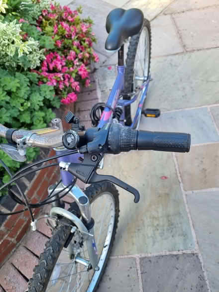 Photo of free TRIUMPH Milano Bike (Christleton CH3) #3