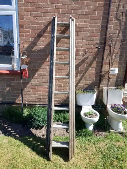 Photo of free Wooden ladder (Oulton NR32) #2