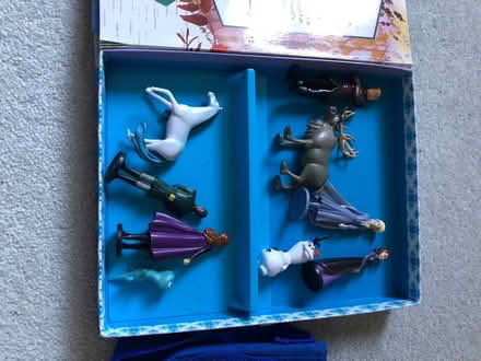 Photo of free Kids Frozen book and bag (Crooks Barn TS20) #4