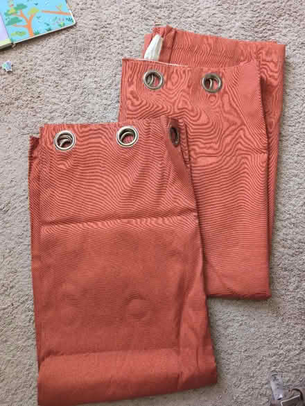Photo of free Brand new curtains (New Brighton) #1