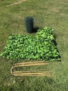 Photo of free Garden netting and canes (Holmes Chapel) #1