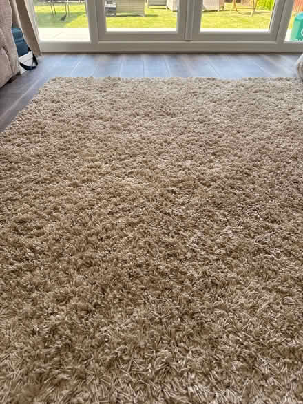 Photo of free Rug (Crosby L23) #1