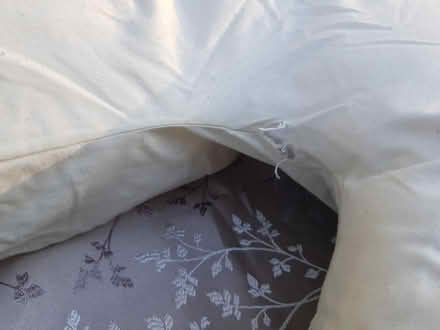 Photo of free Maternity pillow (or pet bed!) (W5 Ealing / Montpelier) #2