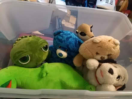 Photo of free Stuffed toys (Mottingham) #1