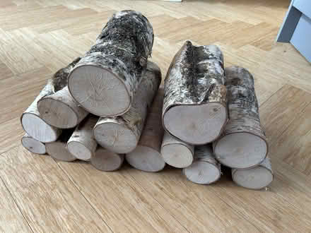 Photo of free Birch Logs (Lodge Moor S10) #1