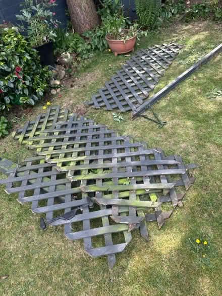 Photo of free Lattice trellice (Sheldon) #1
