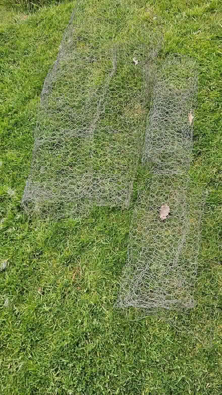 Photo of free Chicken wire (LD8) #1