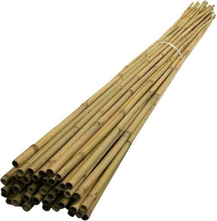 Photo of Garden canes (Leytonstone E11) #1