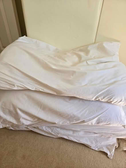 Photo of free Old pillows (SG8 (Melbourn)) #1