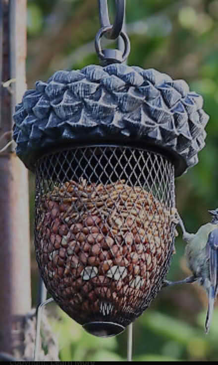Photo of free Bird feeder for nuts (Somercotes, Alfreton DE55) #1