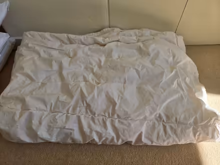 Photo of free Toddler bedding (SG8 (Melbourn)) #3