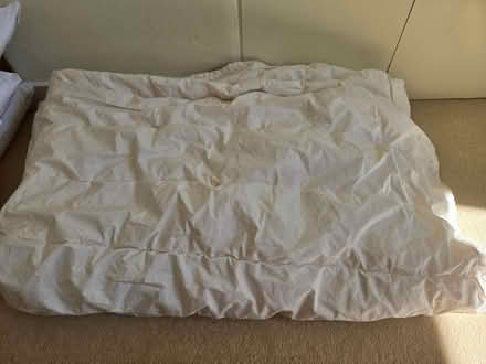 Photo of free Toddler bedding (SG8 (Melbourn)) #3