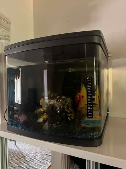 Photo of free Aquarium (E6 3SB) #1