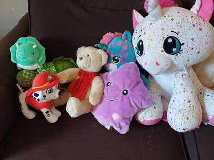 Photo of free Bag of teddy bears/soft toys (GL4) #2